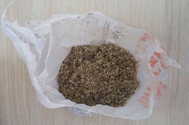 Üzerlerinde bonzai çıkan şahıslar gözaltına alındı