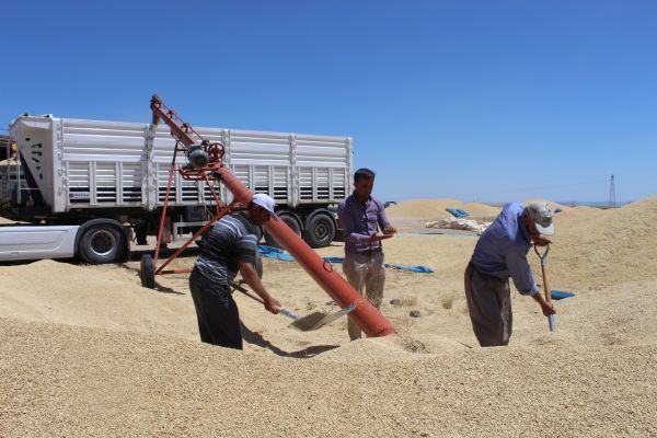 Verimli hasat hem çiftçiyi hem de esnafı mutlu etti