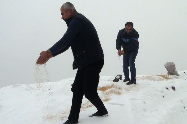 Yabani hayvanlar unutulmadı