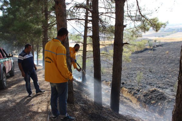 Yangın Ormanlık Alana Sıçramadan Son Anda Söndürüldü