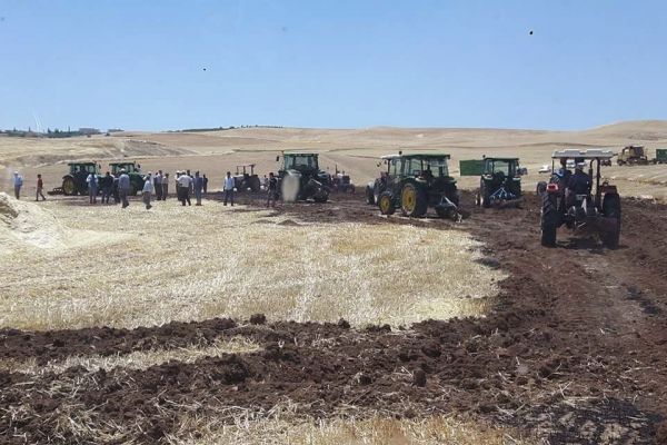 Yangında 50 dönümlük buğday ve arpa kül oldu