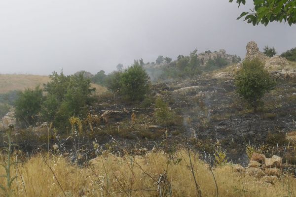 Yangını itfaiye ekipleri ile köylüler söndürdü