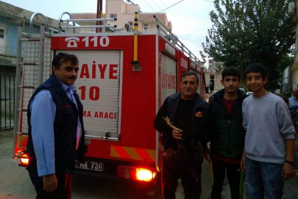Yaramaz tavuk kurtarıldı