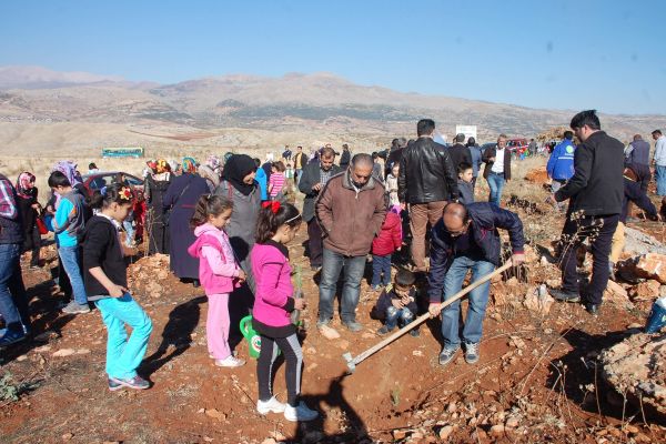 Yetim Çocuklar Fidan Dikti