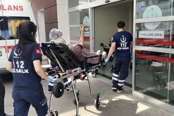 Yılanın soktuğu kadın hastanelik oldu