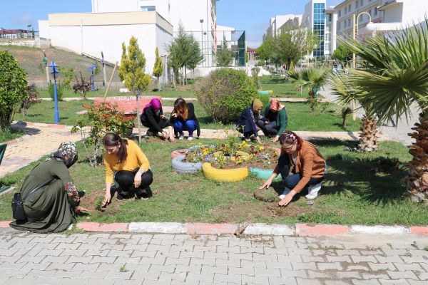 Yurt bahçelerine gül fidanları dikildi