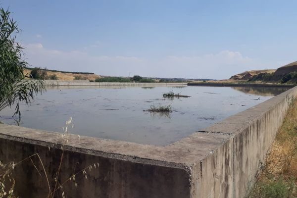 Zihinsel engelli çocuğun feci sonu