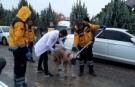 Adıyaman'da kuduz vakası