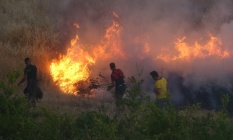 Adıyaman’da korkutan bahçe yangını