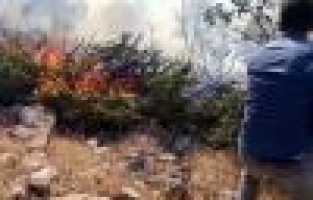 1 hektarlık ormanlık  alan kül oldu