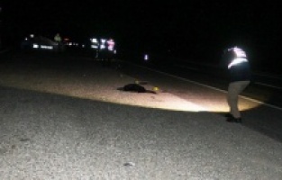 Karanlıkta fark edemediği yayaya çarptı: 1 ölü