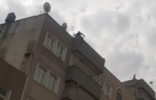 Binanın tepesine çıkarak canına kıymak istedi