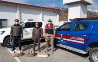 Durdurulan araçta 7 keklik ele geçirildi