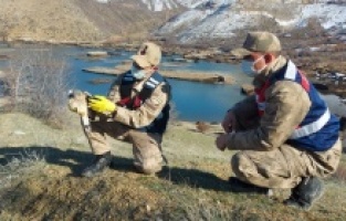 Jandarma ekipleri seferber oldu