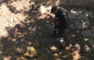 Ölmesi için torbaya koyup dereye attılar