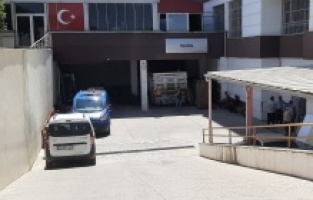8 Yaşındaki çocuk ağaç altında ölü bulundu