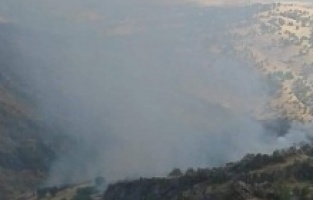 Adıyaman’da orman yangını