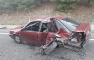 Yola çıkan köpek kazaya neden oldu: 2 yaralı