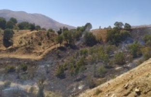 Adıyaman’da ormanlık alanda korkutan yangın