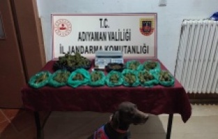 Jandarma ekiplerinden uyuşturucuya geçit yok
