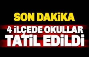 Adıyaman'ın 4 ilçesinde okullar tatil edildi