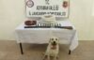 2 Kilo esrar 5 bin 170 kök kenevir ele geçirildi