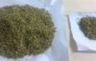 2 Şahsın üzerinde bonzai ve esrar yakalandı