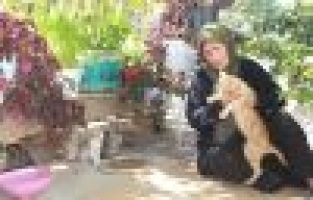 56 yıldır kedilerle yaşıyor