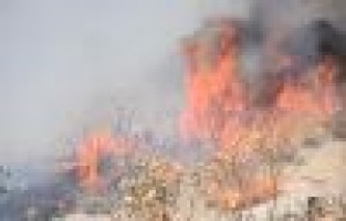  7 hektarlık alan yandı