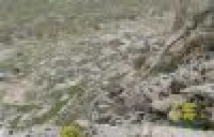 8'i de kayalıklarda mahsur kaldı 