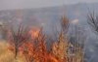 Abdullah Gül Hatıra Ormanında Yangın