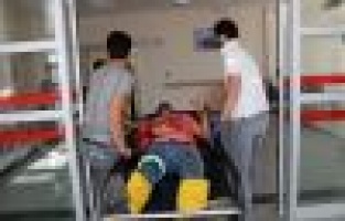 Acemi kasaplar kurbanlık yerine kendilerini kesti