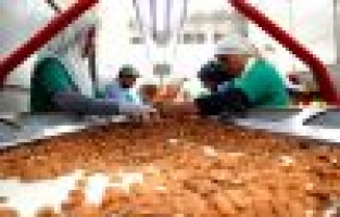 Adıyaman bademi zincir marketlerin raflarında