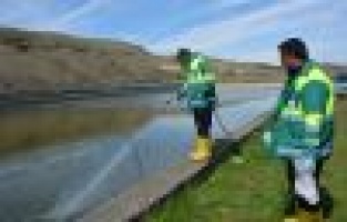 Adıyaman Belediyesi Haşere İlaçlamasına Başladı