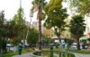 Adıyaman Belediyesinden ağaçlara bakım