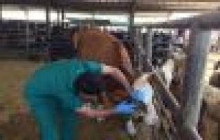 Adıyaman Belediyesinden bayram hazırlığı