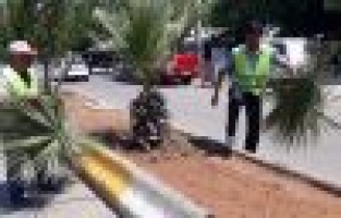 Adıyaman Belediyesinden refüj düzenlemesi