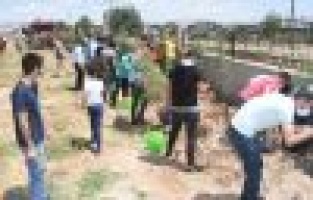 Adıyaman Üniversitesi, sağlıkçılar için fidan dikti