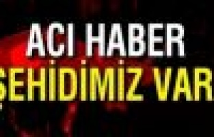 Adıyaman'a şehit ateşi düştü