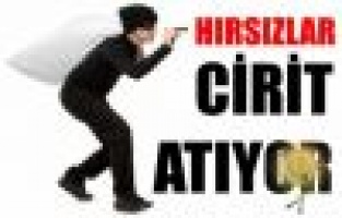 Adıyaman'da 2 Hırsızlık Şüphelisi Yakalandı