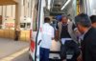 Adıyaman'da 2 Kişiyi Yılan Soktu