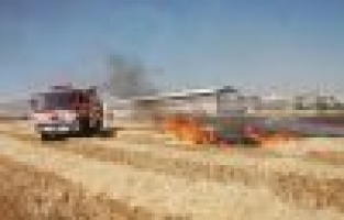 ADIYAMAN'DA 80 DÖNÜMLÜK TARLA KÜL OLDU