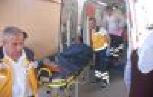  ADIYAMAN'DA AĞAÇTAN DÜŞEN KİŞİ YARALANDI