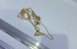 Adıyaman'da Altın Hırsızı Yakalandı