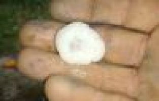 Adıyaman'da badem büyüklüğünde dolu yağışı