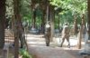 Adıyaman'da firari mahkum yakalandı