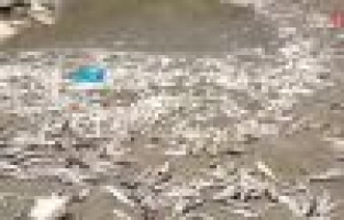 Adıyaman'da korkutan görüntü