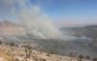 Adıyaman’da korkutan orman yangını