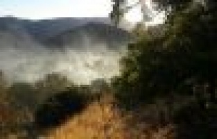 Adıyaman’da korkutan yangın