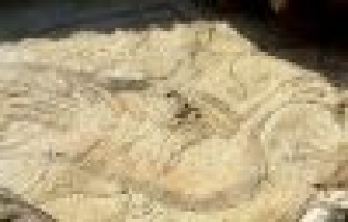 Adıyaman’da kuş figürlü mozaik bulundu